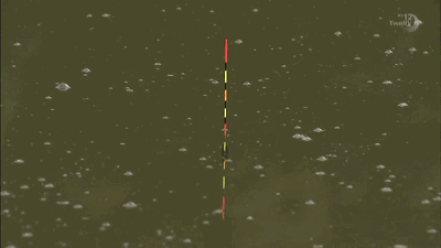 黑坑|臭底黑坑怎么钓？一场黑坑被老板盘得明明白白，可惜发现得晚了点