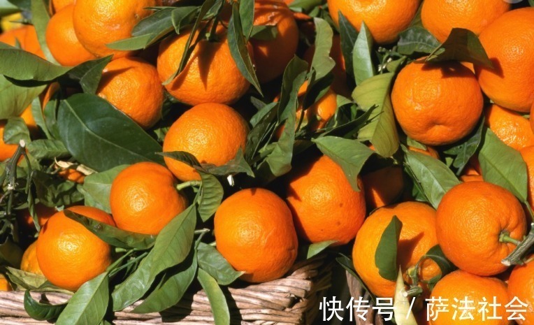 家里人|提个醒吃过橘子一小时内不可碰此种食物,早点告诉家里人