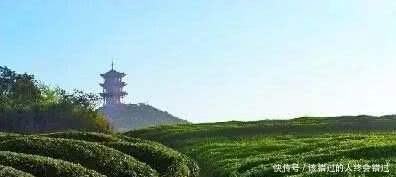 茶叶|历史上最著名的皇帝,生前酷爱喝茶,竟然将茶叶作为陪葬物?