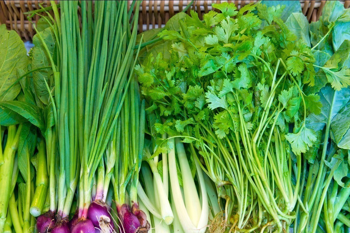 立秋|香菜吃不完,老农教你这样保存,放一年都不坏,颜色翠绿味道新鲜