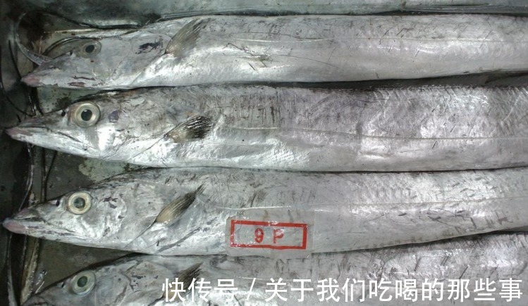 都是带鱼,为啥有的一斤10元,有的300元?老渔民告诉你差在哪儿