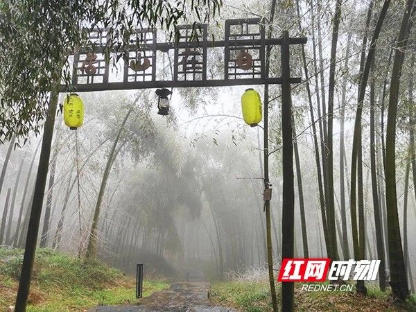 人间仙境|耒阳：蔡伦竹海春光雪景如人间仙境