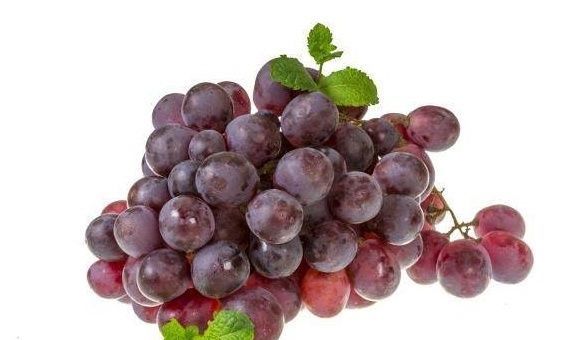 宝宝|40岁单亲母亲上台唱歌,说出儿子身份那一刻,评委都惊讶了!