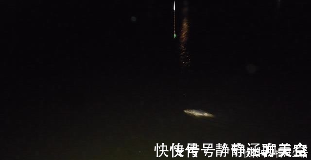 浪头|我一个酷爱夜钓的人,总能找到低温风浪环境下的夜钓鲫鱼法……
