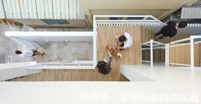 户型|4种不同的小户型,最大一套66㎡,设计出大宅既视感,真的很赞!