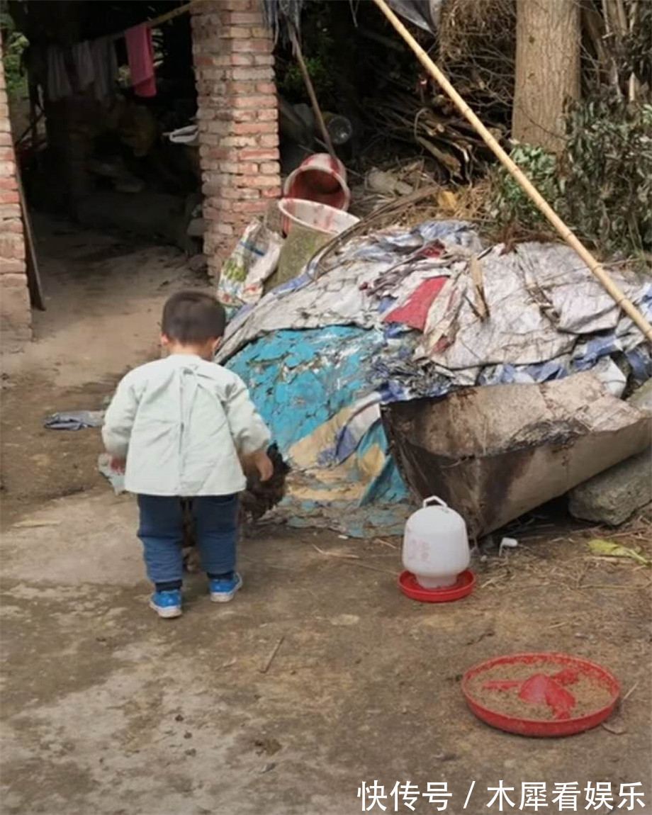小男孩|家里的大公鸡刚喂胖,外孙来了,姥姥愁了,姥爷却笑喷