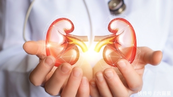 藏在厨房中的“嘌呤大户”被发现,医生:多喝一水,助你稳降尿酸