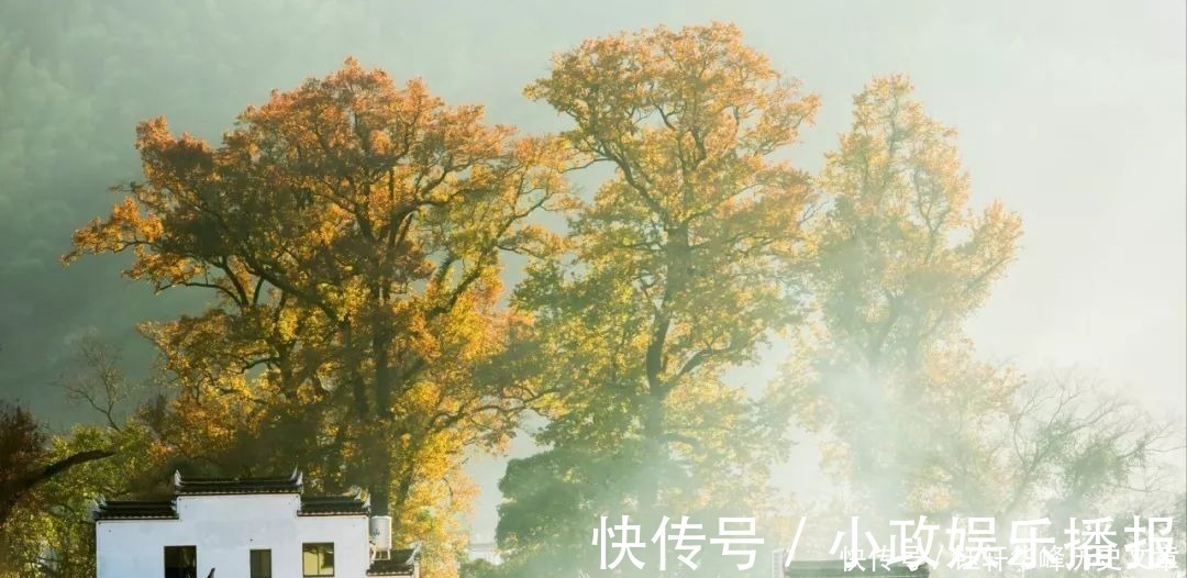 简简吟@宅在家,没事做就读一读这40句古诗词,每一句都是人间绝句