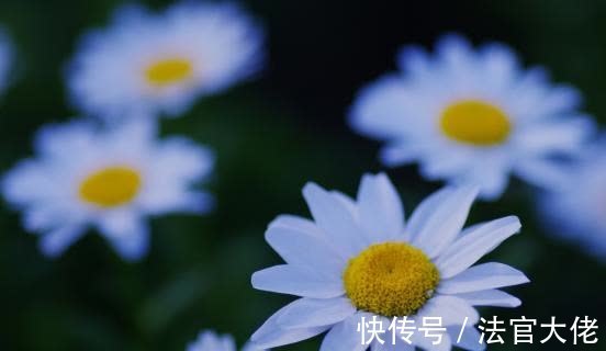 旧爱|8月，桃花送喜，良缘未尽，旧爱重逢，再度相依，此生相守不弃