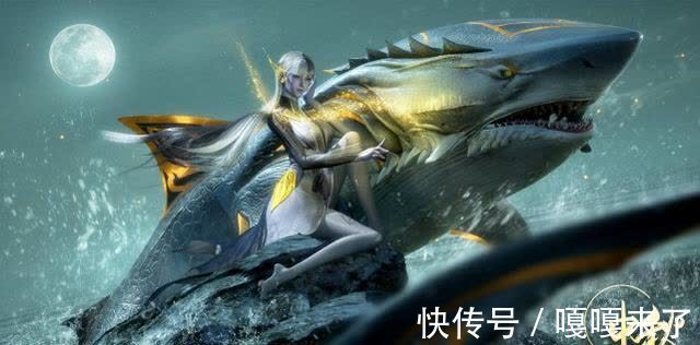 海神|斗罗大陆:小白的真身霸气十足,戴沐白和她比起来如同蝼蚁一般