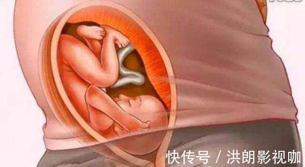 剧烈运动|怀胎十月到底是什么样的，十张图带你看孕育过程，生而为人须了解