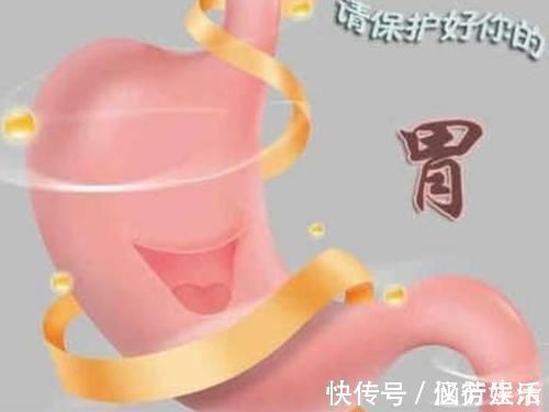 猴头菇|正确的养胃方法是什么?消化科医生,从这几步告诉你,值得学习