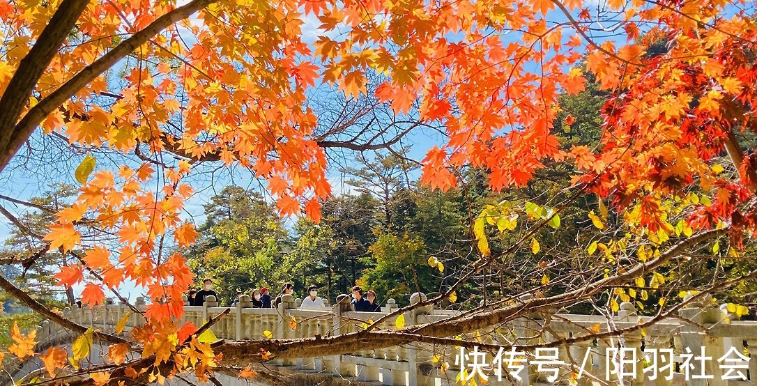 岁月$止于唇齿,匿于流年,谁的岁月,弹指刹那,谁的沧桑,掩去芳华