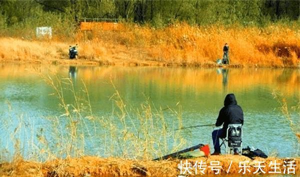 冬季手竿钓鲫鱼,用了这4个秘诀,上鱼更多,渔获差不了!