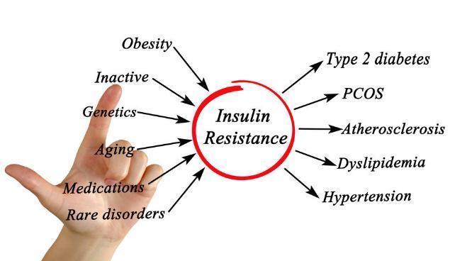 酮体|不吃主食能否“治愈”糖尿病?5分钟了解一下真相