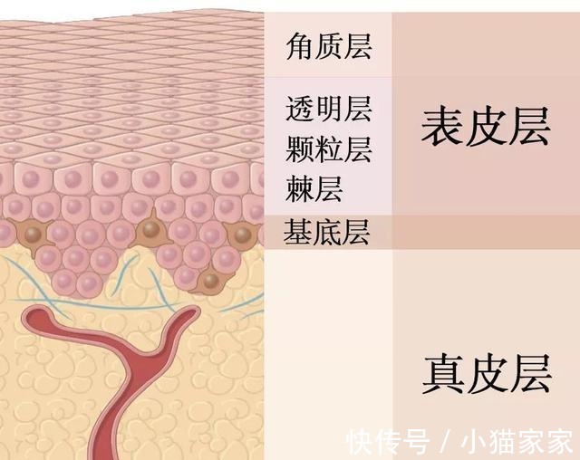 护肤品 哪些皮肤问题是护肤品不能解决的！