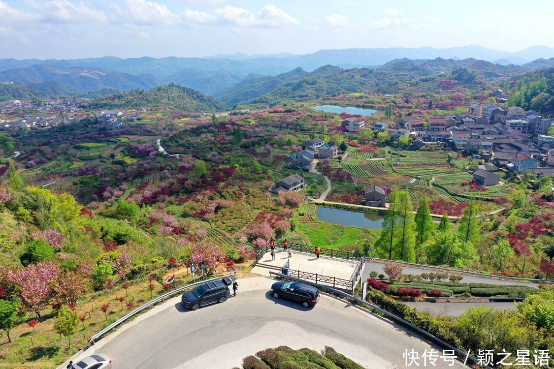 白鹿村、上马村、雅庄村，十里樱花十里尘，经典赏樱路