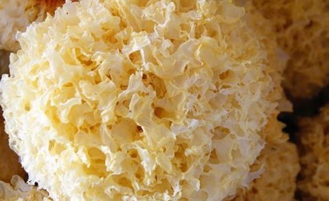 干银耳怎么泡发好，泡发过久也有坏处