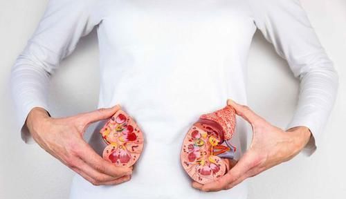 不良习惯|经常喝酒的人，易导致血压飙升！高血压对身体的损伤，莫轻视