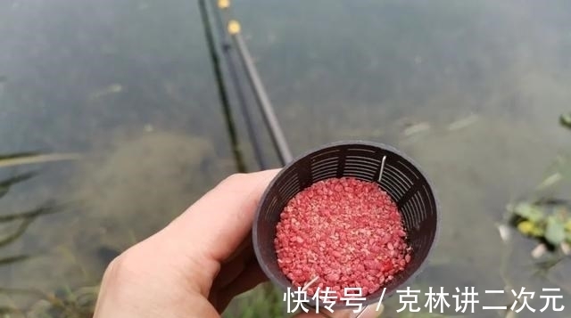 饵料|酒米打窝能诱鲤鱼吗？喜欢钓鲤鱼的注意，窝料可别选错了！