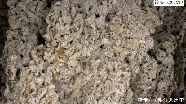 丝绸|中国丝绸博物馆馆长:五千多年前的最早丝绸是如何发现的?