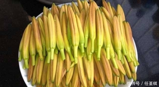 荠菜粥|农村这些野菜,降血压,抗癌,消炎退肿,怕生病就吃它!