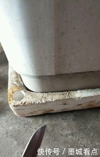 鱼钩|没想到还能这样钓鱼,一看就是个高手