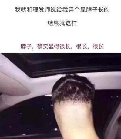 |搞笑GIF趣图:这狗子的表情,可把我给乐坏了