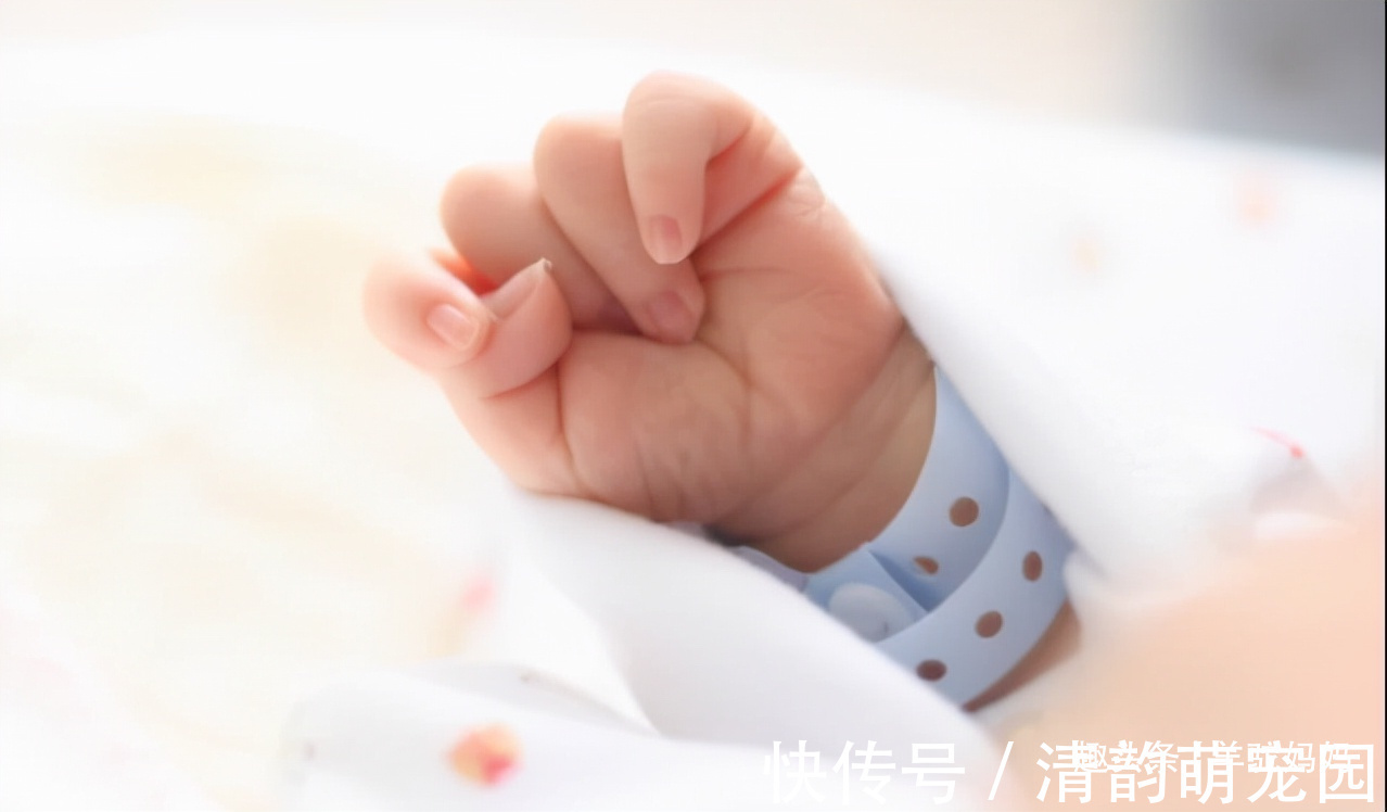 不孕不育|为啥很多人宁愿花10万做试管,也不愿意领养孩子?答案很现实