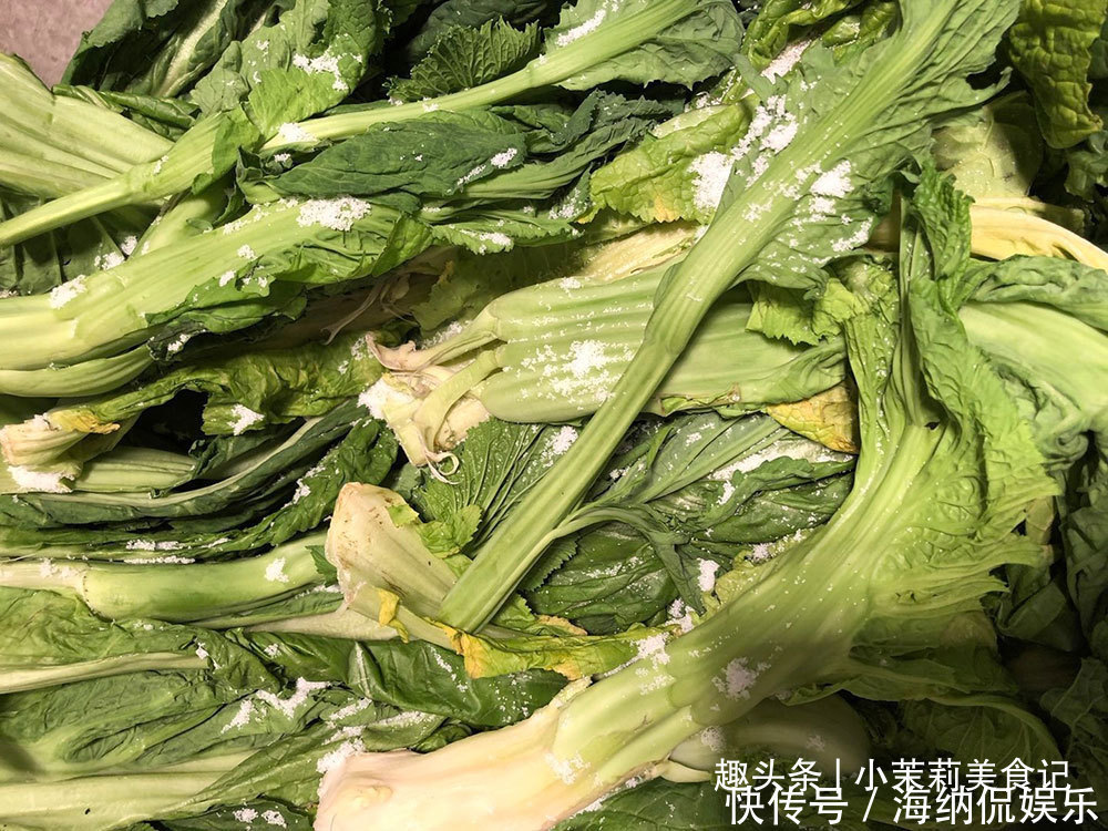 制作梅干|9月,此类菜不怕过期,一次买20斤做成梅干菜,炖肉做馅都特香