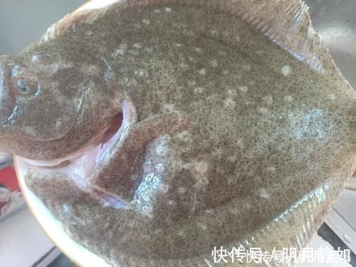 软骨鱼|这鱼长得奇丑,身上都是宝,没有坚硬的鱼刺,这样做口感鲜嫩好吃