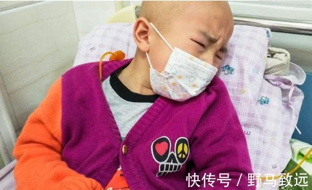 罪魁祸首|为何越来越多的孩子染上白血病？医生：家里这3样东西是罪魁祸首