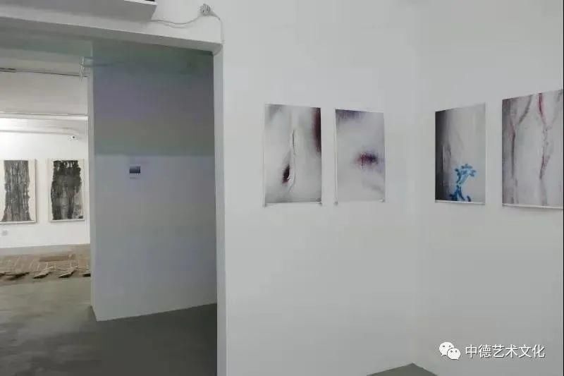  策展人|德国首都柏林顶着逆天疫情开幕的《伤痕与年轮》美术展