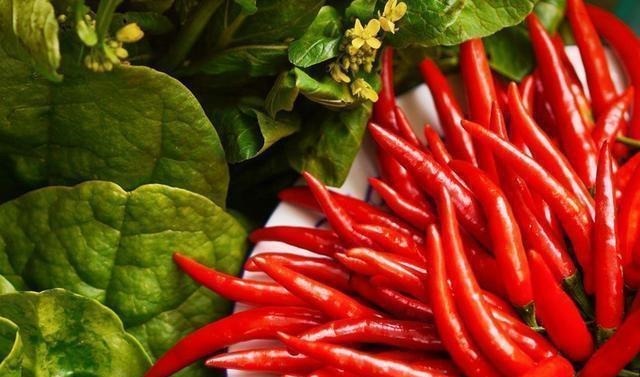 宝妈|正在哺乳期的女性,建议远离三类食物,会影响到孩子的吃奶过程