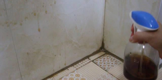 卫生间瓷砖脏了,还在傻傻的用清洁剂只需用它一擦立马洁白如新