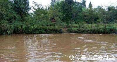 钓鲫鱼涨水和落水时选择钓点,依据下面2点就行了