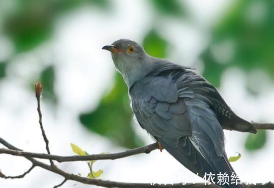 千古绝唱&2首美到飞起的诗词,堪称千古绝唱,值得好好品读