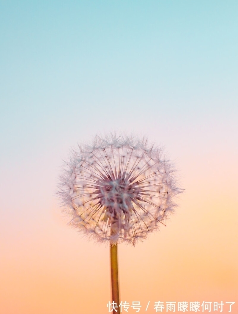 风清云淡$一窗冷雨,一枕新凉,谁看尽旧时书,谁洒尽今生泪