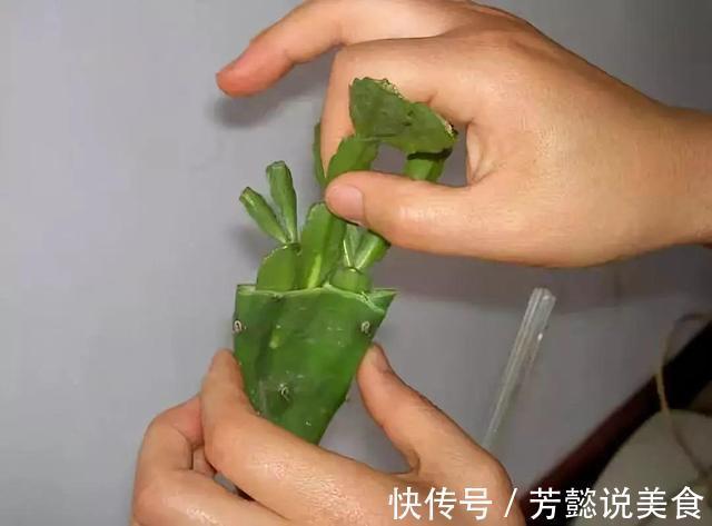 仙人掌如何嫁接蟹爪兰教你3个嫁接小妙招，方法对了，开花多3倍