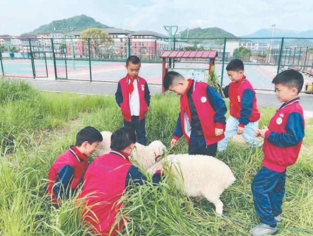 劳动基地|学校劳动基地来了“新伙伴”