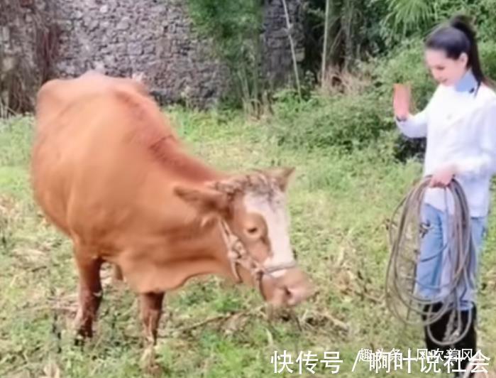 55歲李若彤自侃變村姑，親自下地干活幫趕牛，筷子腿纖細無比