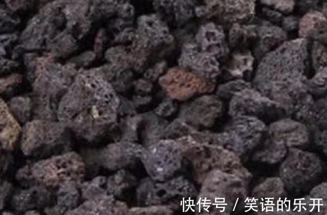 饭石|多肉养的美不美,铺面石的作用很重要,铺与不铺颜值差太多