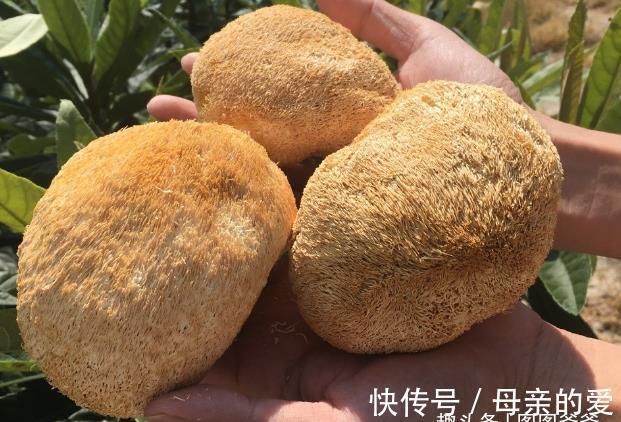 老汪|啃一口需代谢5天,家长还喜爱喂娃吃,医生:它是身高“阻长剂”