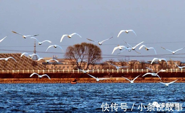 洼地|没意外!这里是太原2022年的新的价值洼地