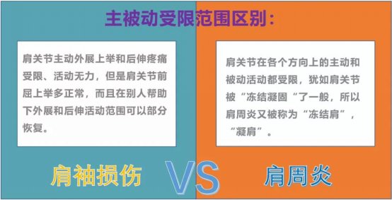 关节|肩膀疼的睡不着，未必是肩周炎，而是……