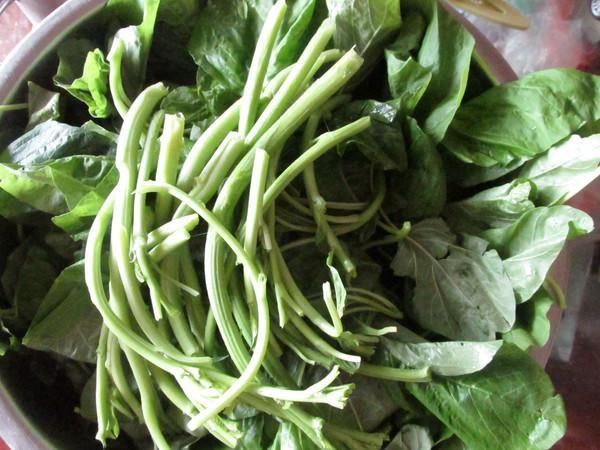 蔬菜中“补铁王”被发现,铁是菠菜6倍,女性常吃,补血又护眼