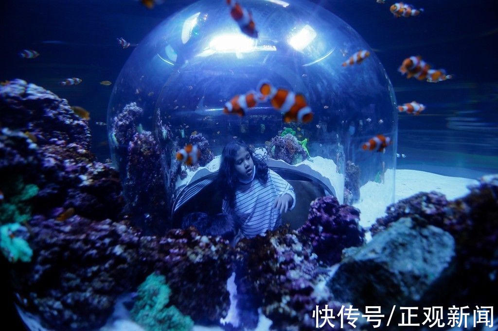 国家水族馆|中东地区最大水族馆——阿布扎比国家水族馆正式开馆