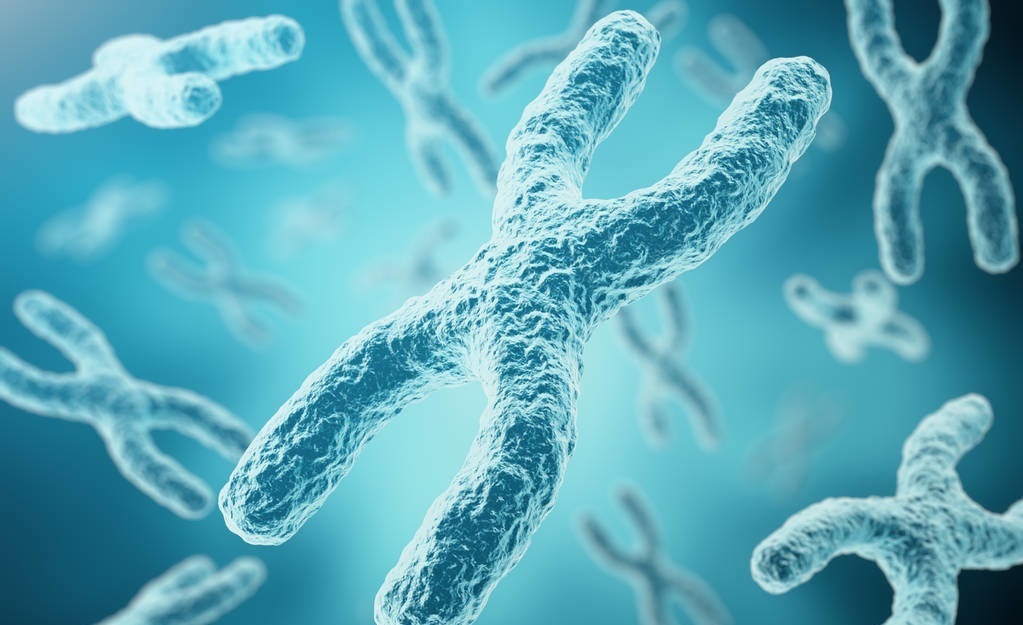 高血糖|与高血压、高血脂、高血糖齐名称为“四高”，这项检查用处多