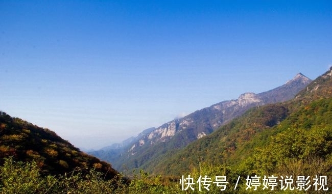 茱萸|寻访秦岭苦竹沟，灌满浆汁的烂红野果和山货挂满枝头，都无人采摘