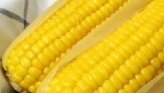 常吃玉米好处多，明目养肝，助消化，但也有一些禁忌，了解下